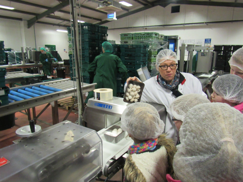 Visit to Hughes Mushrooms