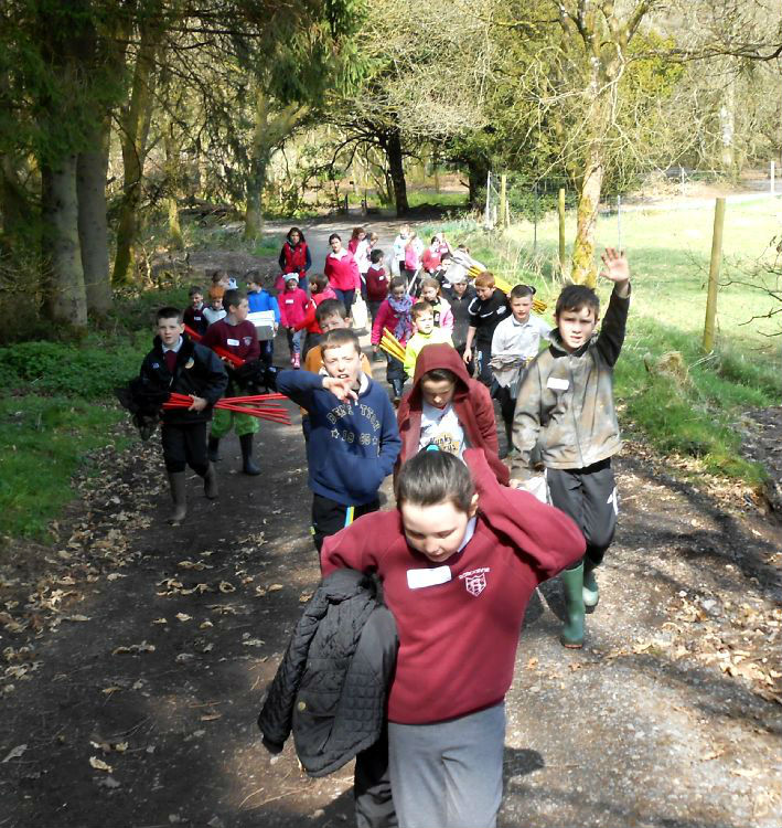 Sunny Day in Parkanaur