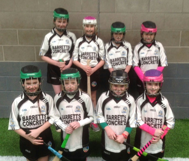 Camogie & Hurling Blitz