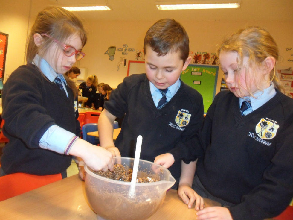 Instructional Writing in Primary 3