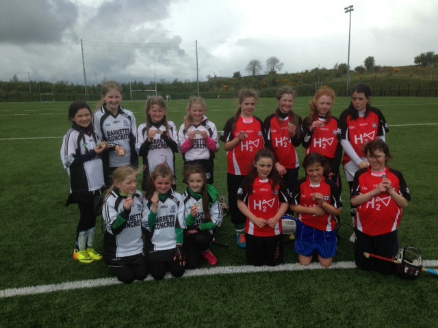 Tyrone Camogie Champions