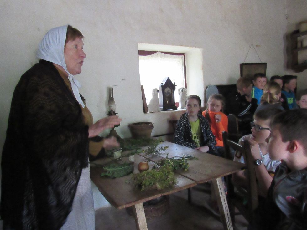 Primary 7 Famine Field Trip