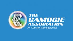 Camogie Girls in County Finals