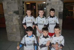 The School Hurling Team